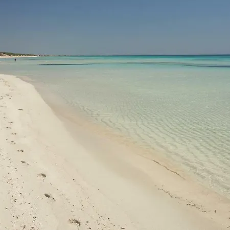 Pajara Rugiada * Gagliano del Capo