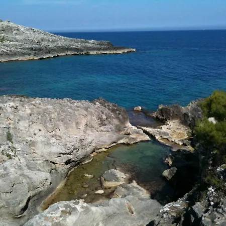 Pajara Rugiada Сasa de vacaciones *
