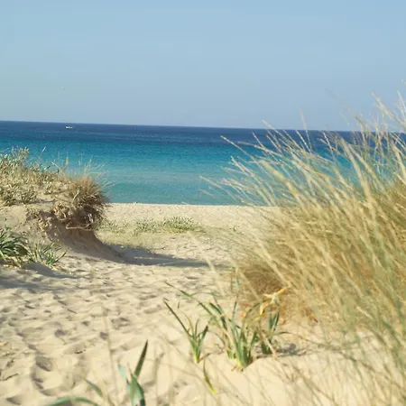 Pajara Rugiada * Gagliano del Capo